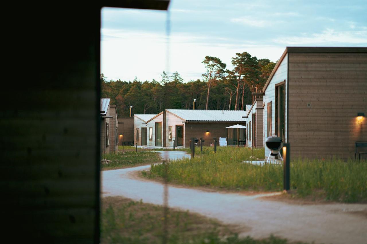 Vidhave * Visby